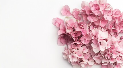 Poster - Floral arrangement with small pink Hydrangea flowers natural floral flat lay in summer seasonal style Minimal monochrome top view with copy space : Generative AI