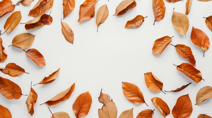 Aufkleber - Autumn composition Frame made of autumn dried leaves on white background Flat lay top view copy space : Generative AI
