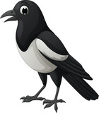Fototapeta Pokój dzieciecy - Cartoon magpie bird isolated on white background
