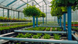 © Aliaksandra - Greenhouse with rows of seedlings in a greenhouse. Modern agriculture