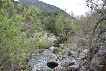 Scenic view of Old Mission Dam in San Diego Mission Trails.