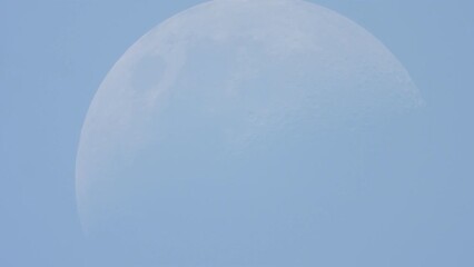 Wall Mural - day time moon in blue sky.