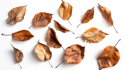 Aufkleber - Autumn creative composition Dried  leaves on white background Fall concept Autumn background Flat lay top view copy space : Generative AI