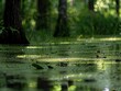 The murky depths of the swamp were alive with the sounds of croaking frogs and buzzing insects. Photography by Nikon AF-S 200mm f/2.0 --ar 4:3 --style raw Job ID: 0e6b5b3c-f0e5-4ab3-bd1d-5262ec883b86