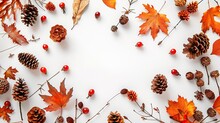 Autumn Floral Background Oak Leaves Cones Flowers Berries Arranged In Frame On White Background Copy Space : Generative AI