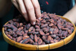 Woman's hands sorting cocoa beans in a wooden basket