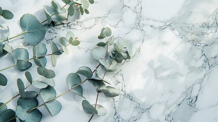 Poster - Border of eucalyptus leaves on a marble background Lay flat : Generative AI