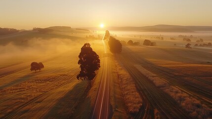 Poster - A road with a tree in the middle of it. The sun is setting and the sky is orange