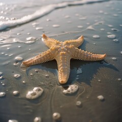 Fototapete - A starfish is laying on the sand at the beach. The starfish is surrounded by bubbles, which suggests that the water is moving and the starfish is in motion. Concept of movement and life