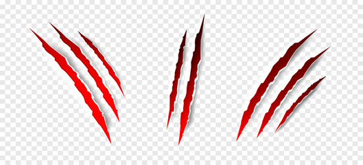 claws scratches - vector isolated. claws scratches animal claw tracks cat or tiger bear or lion atta