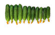 Green small organic cucumbers with yellow flowers, on a white background with space for text. Top view, flat lay