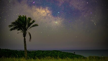 Poster - milky way galaxy in night sky. scenic view from coast with palm tree and flashes of light. timelapse