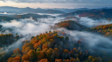 Wall Mural - Aerial view of the Great Smoky Mountains, rolling fog and diverse ecosystems