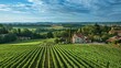 Aerial view of the Loire Valley, sprawling vineyards and historic chateaux