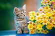 Cute little kitten sitting near a bouquet of yellow daisy flowers