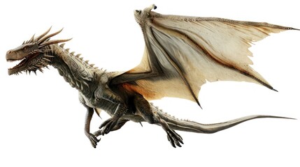 Wall Mural - Powerful dragon flying in sky isolated on white background.