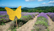 Yellow butterfly shaped sign on lavender field in bloom near the village of Sale San Giovanni, Langhe region, Piedmont, Italy, Europe