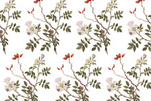 Vintage Pink Dog Rose Flower Pattern Background Design Resource