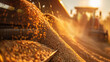 © Erich - A close-up of cascading grains of wheat during the golden hour at harvest time.