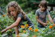 Young Kids Engaged in Gardening Activities Together