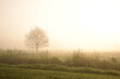 Friesischer Nebel - von strahlenden Sommermorgen bis zu milchigen Wintertagen - Frieslands sanfte Seite 15