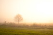 Friesischer Nebel - von strahlenden Sommermorgen bis zu milchigen Wintertagen - Frieslands sanfte Seite 14