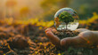 A hand holding a tree inside a clear bubble. The concept of protection and care for the tree, as if it is being held and nurtured