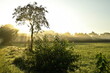 Friesischer Nebel - von strahlenden Sommermorgen bis milchigen Wintertagen - Die Morgensonne strahlt durch den sommerlichen Frühnebel 12