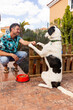 © ADDICTIVE STOCK - Man bonding with dog during backyard barbecue
