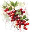 Evocative watercolor artwork of red currant berries, complete with splatters