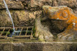 Detail Brunnenfigur mit Patina, sitzender Frosch neben Wasserstrahl mit Abstellgitter und Sandsteinmauer