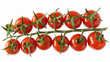 Fresh bunch tomato  with water drops, bio production isoalted on white background 