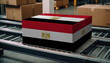 A package adorned with the Egypt flag moves along the conveyor belt, embodying the concept of seamless delivery, efficient logistics, and streamlined customs procedures
