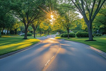 Wall Mural - a laneway in suburban background professional photography