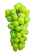 Jelly green grape isolated on white background.