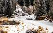 Winter drive through a winter wonderland, Mountain View County, Alberta, Canada
