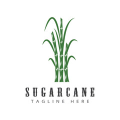 Wall Mural - Sugarcane logo vector template symbol design