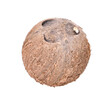coconut isolated on transparent png