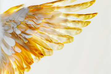 Wall Mural - Gold feathers adorn gilded angel wings against a white backdrop