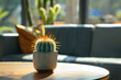 Small green cactus in pot on table with copy space