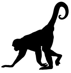 Wall Mural - Monkey vector silhouette illustration for world monkey day