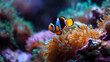 Vibrant anemonefish gracefully swimming among colorful corals in a saltwater aquarium display 4K Wallpaper