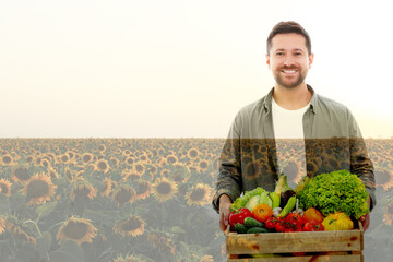 Poster - Double exposure of happy farmer and sunflower field. Space for text