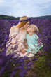 the daughter kisses her mother. family picnic on a lavender field