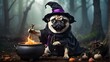 A mischievous pug dressed as a witch, casting spells with a cauldron in a spooky and enchanted woodland.