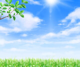 Fototapeta Na ścianę - 太陽の光が差し込む雲のある青空に新緑の美しい若葉の初夏フレーム背景素材