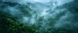 Mystical Mist of Costa Rica's Lush Wilderness. Concept Nature Photography, Rainforest Wildlife, Foggy Landscapes, Exotic Flora, Tropical Paradise