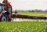 Fototapeta Panele - Tractor spraying pesticides wheat field.