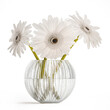 Small Bouquet Of White Flowers Zerbera Gerbera isolated on white background