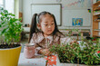Little girl learning how to plant and take care of house plants in pots in kindergarten